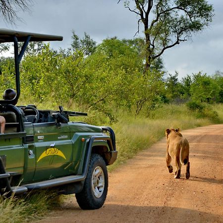 Kruger Safari Lodge Manyeleti Game Reserve Zewnętrze zdjęcie