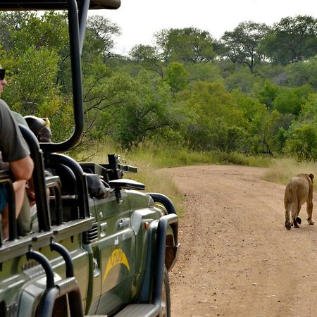 Kruger Safari Lodge Manyeleti Game Reserve Zewnętrze zdjęcie