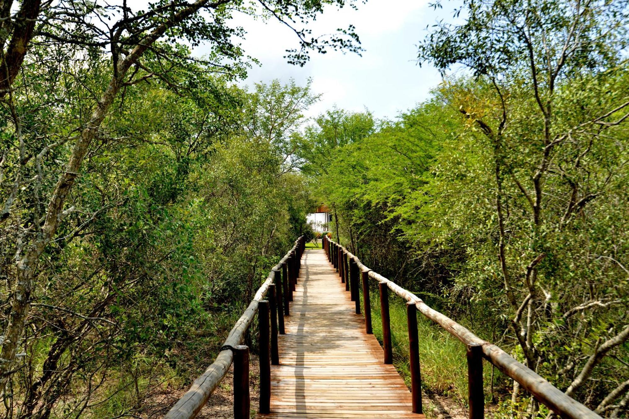 Kruger Safari Lodge Manyeleti Game Reserve Zewnętrze zdjęcie