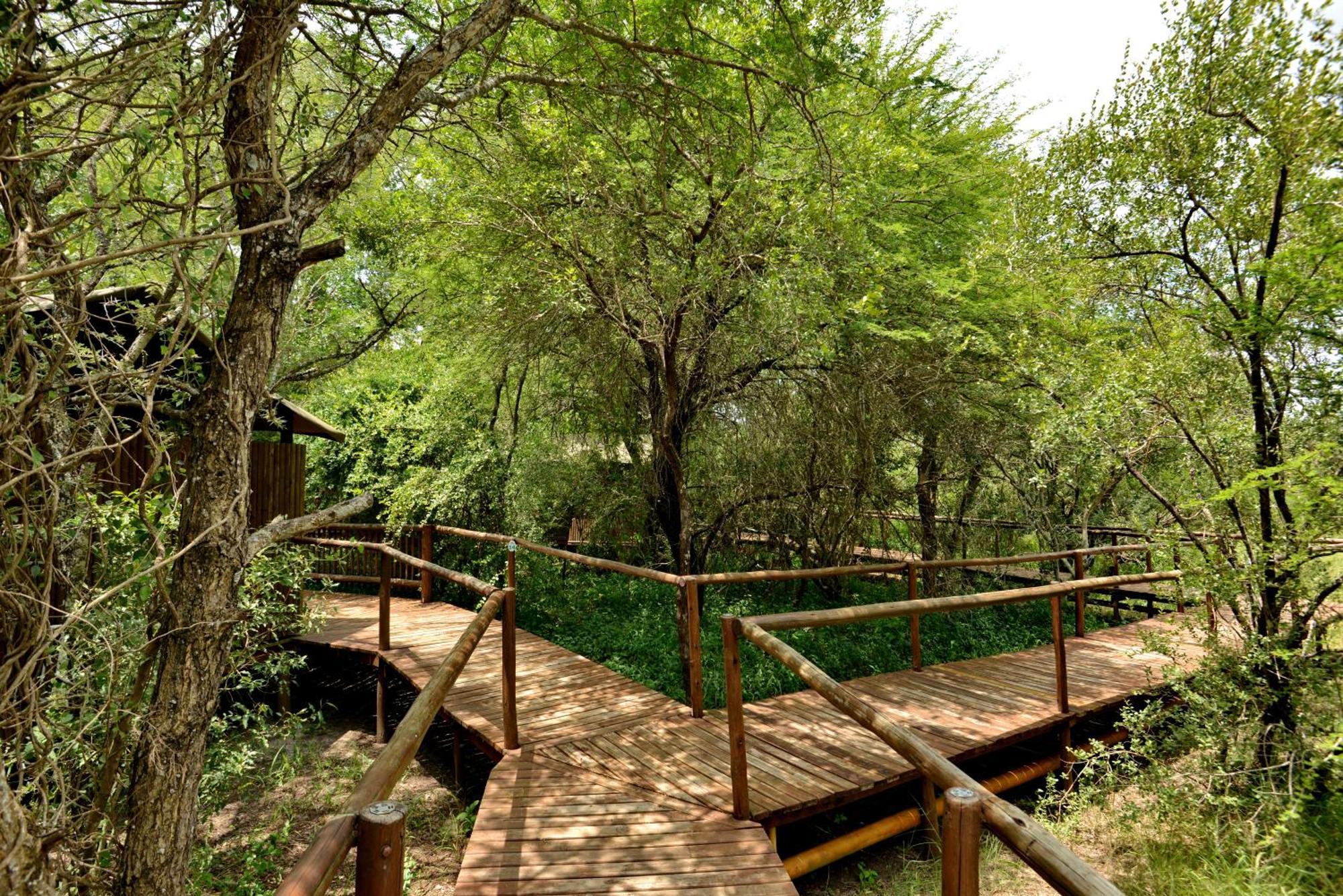 Kruger Safari Lodge Manyeleti Game Reserve Zewnętrze zdjęcie
