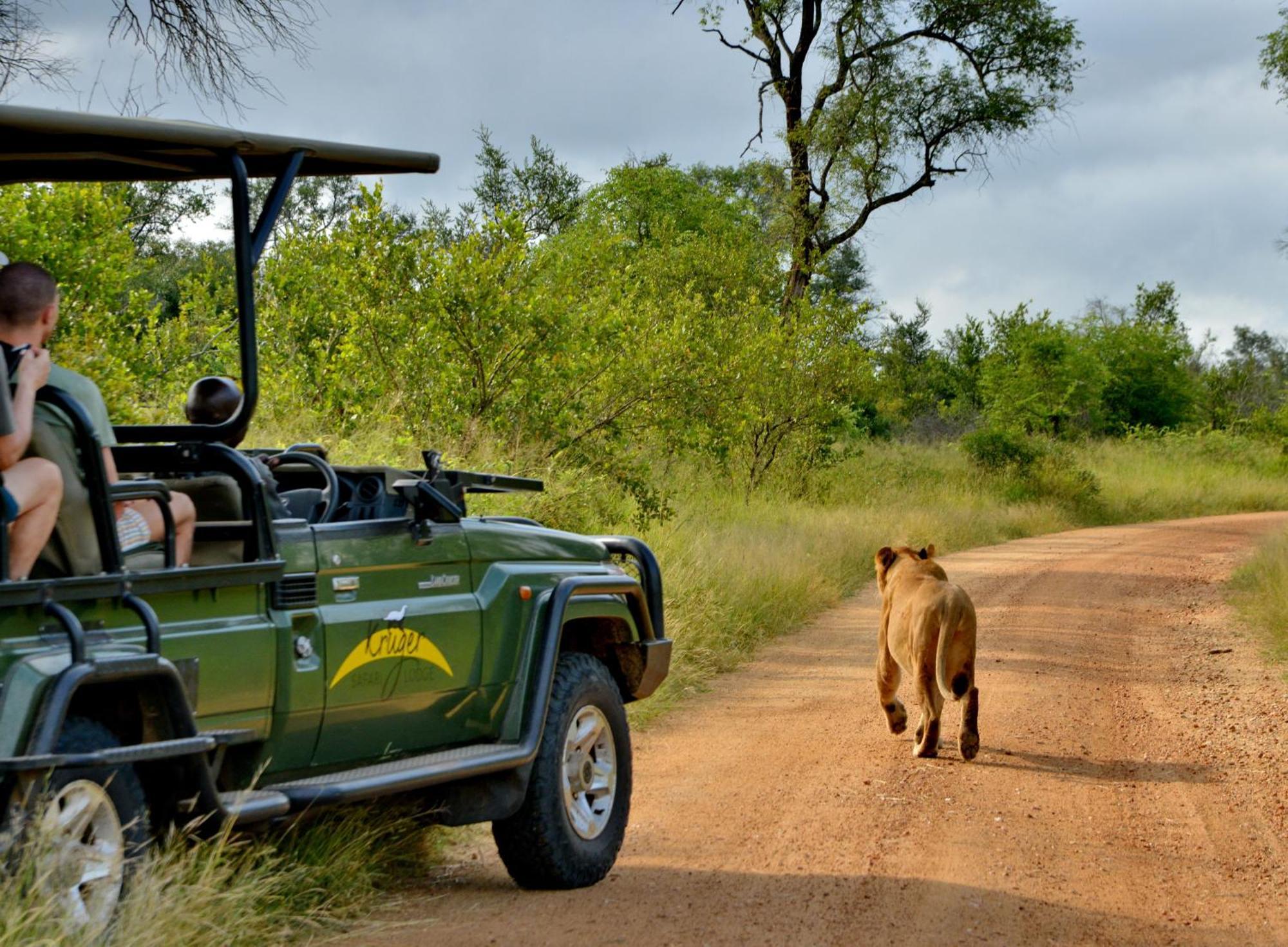 Kruger Safari Lodge Manyeleti Game Reserve Zewnętrze zdjęcie