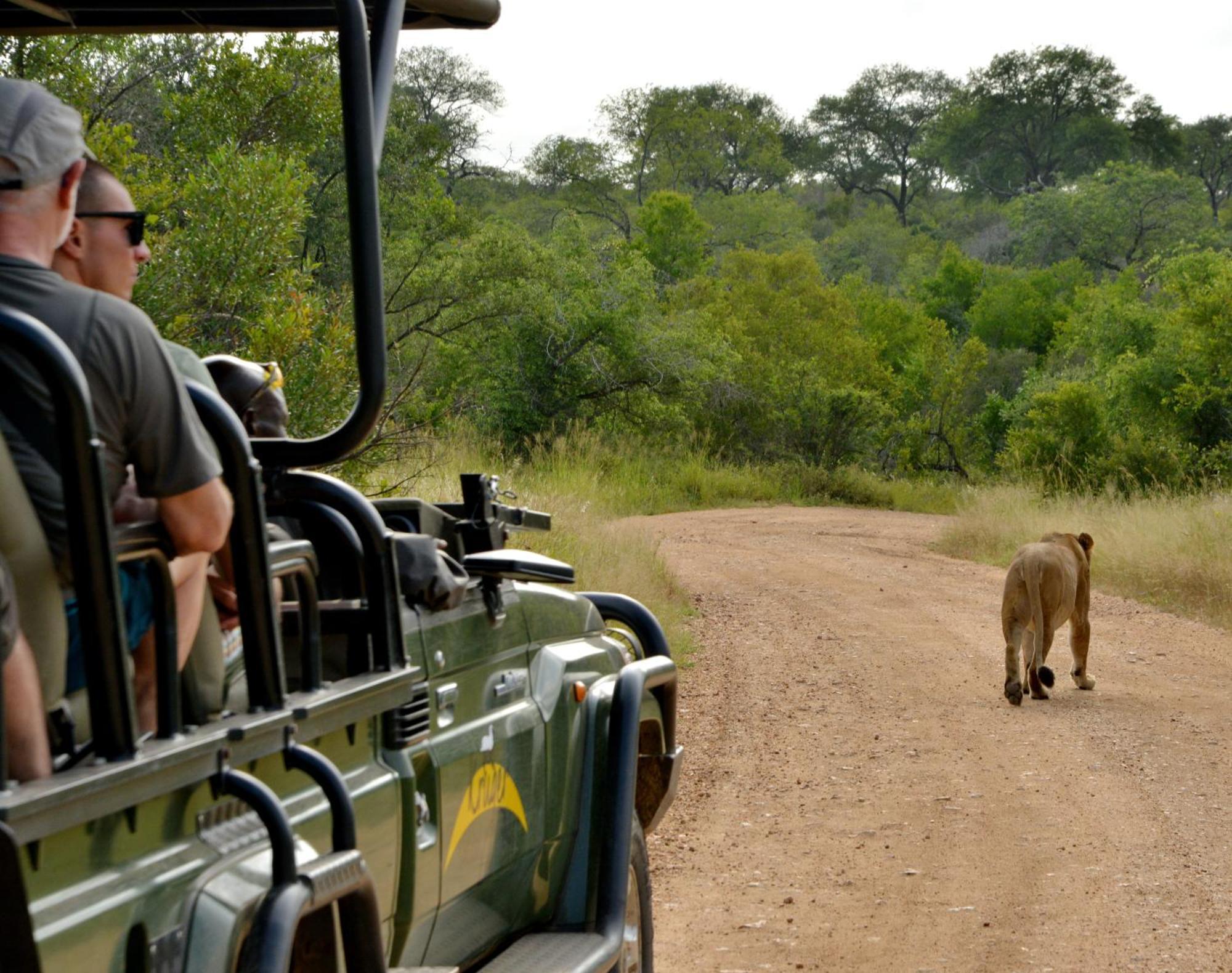 Kruger Safari Lodge Manyeleti Game Reserve Zewnętrze zdjęcie